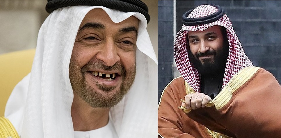 السعودية والإمارات أتفه من أن يغيروا مسار نملة